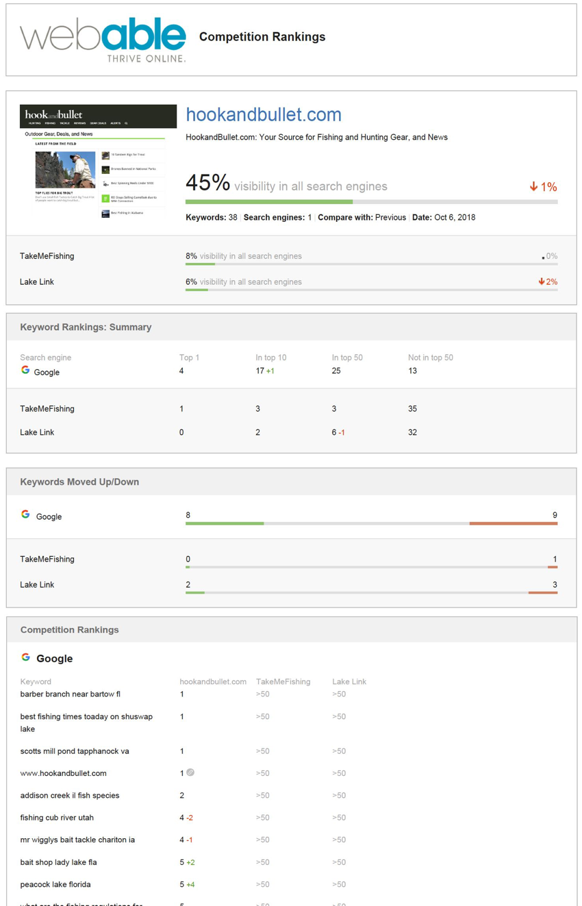 SEO Keyword Rankings Report